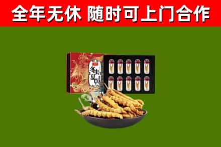 嘉祥县回收冬虫夏草价格