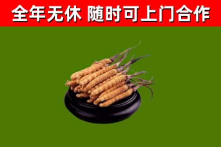 嘉祥县烟酒回收冬虫夏草.jpg
