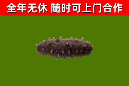 嘉祥县烟酒回收干海参.jpg
